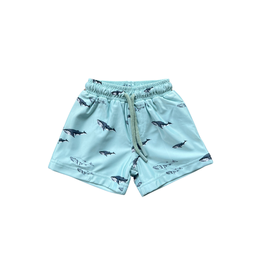 babysprouts clothing company - Boy's Swim Shorts